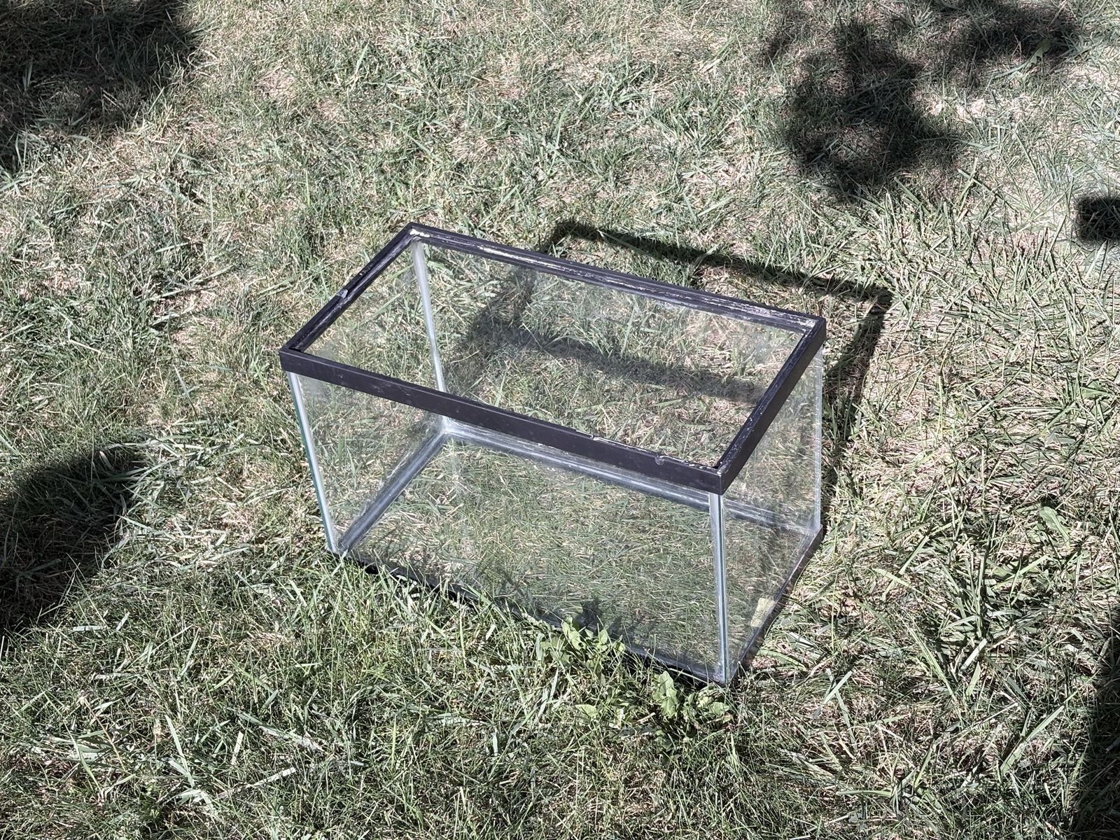 10 Gallon Glass Aquarium Tank with Matching Metal Stand