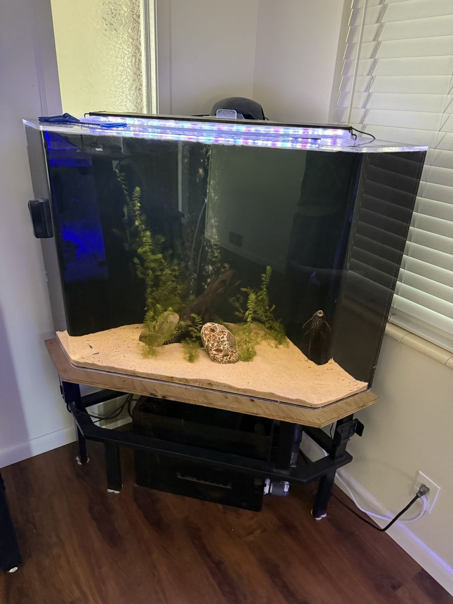 125 gallon acrylic aquarium