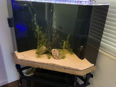 125 gallon acrylic aquarium