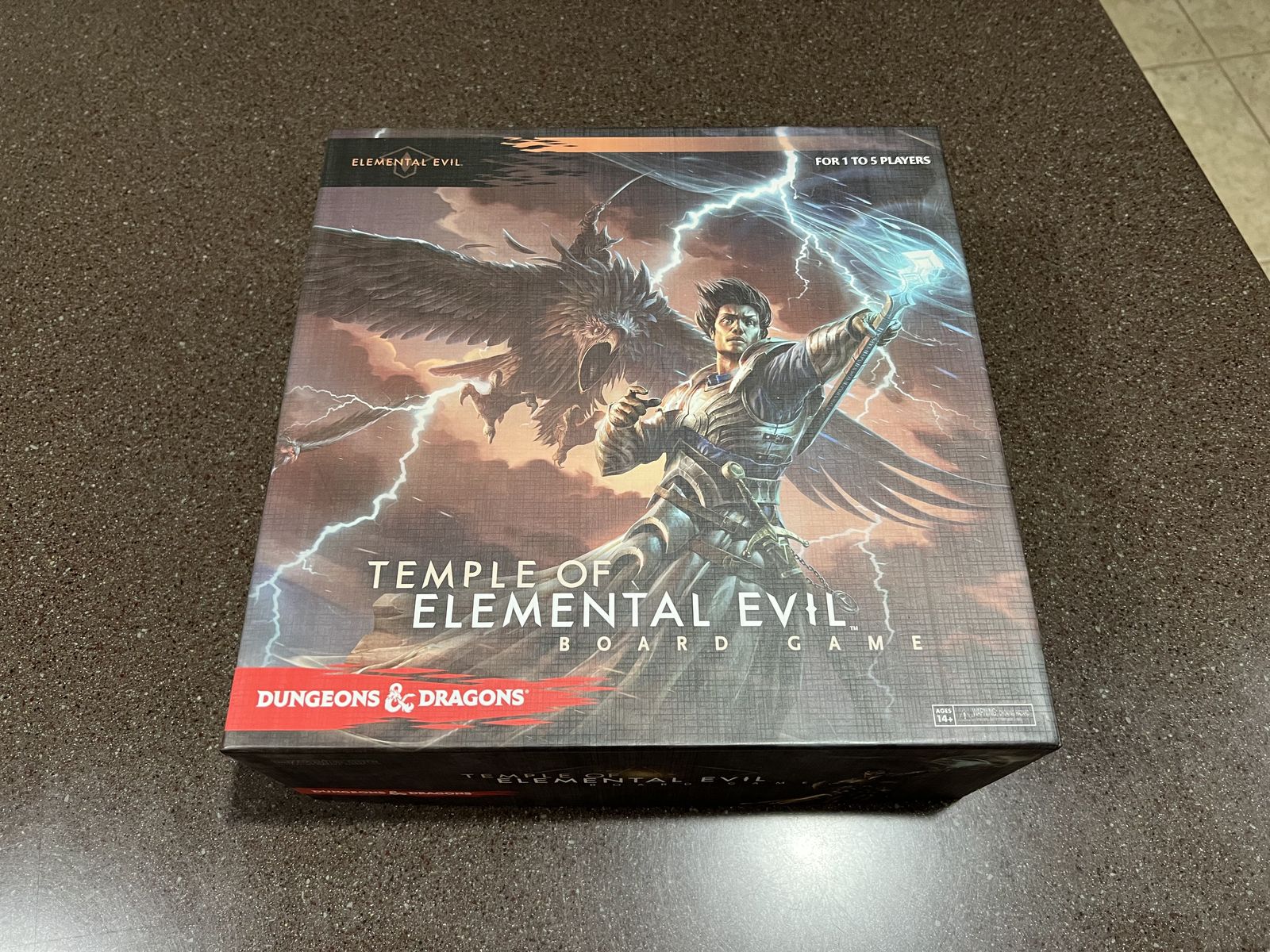 Dungeons & Dragons Temple of Elemental Evil Game