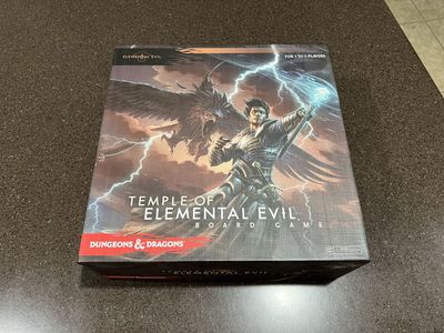 Dungeons & Dragons Temple of Elemental Evil Game