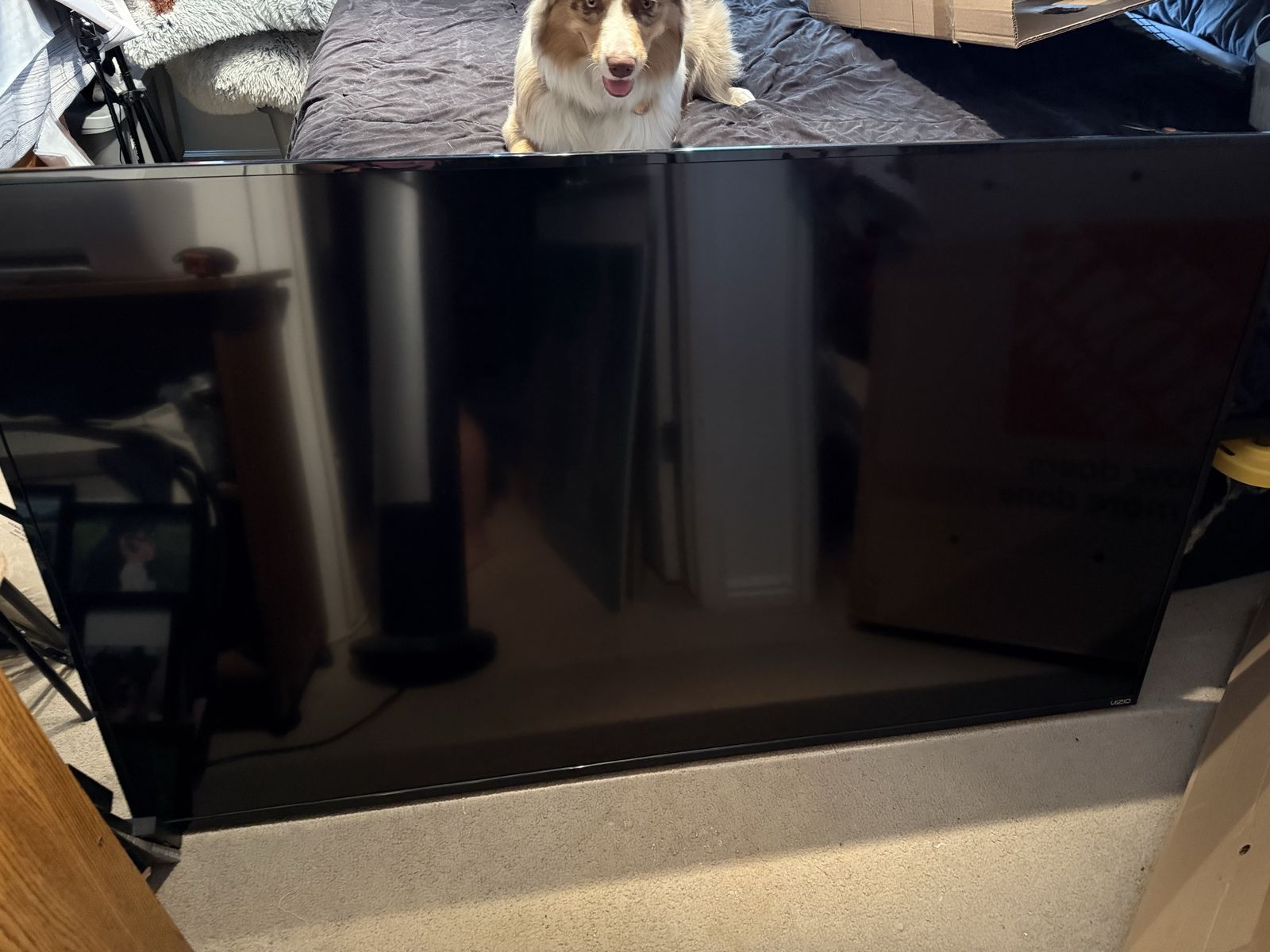 70” Vizio Smart TV