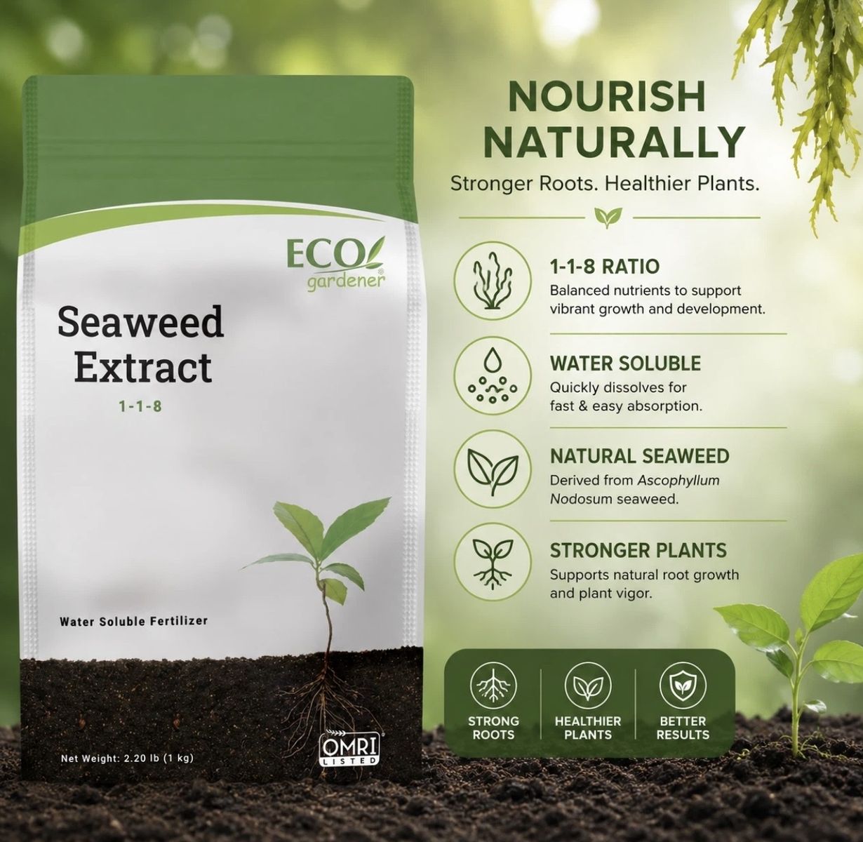 Seaweed extract