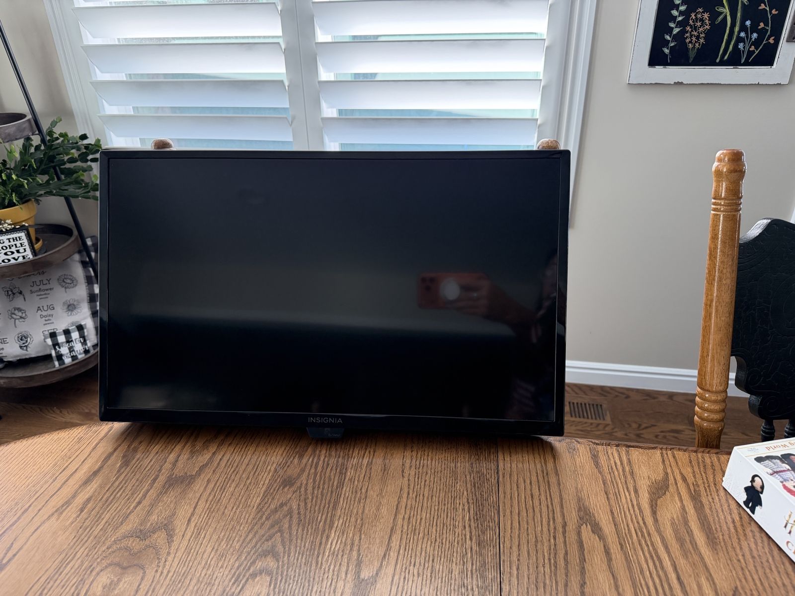 Insignia 24" Class LED HD Smart Fire TV with Voice Remote