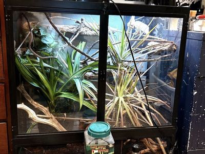 Exo Terra Large Reptile Terrarium Tank with Misting System, Heat Lamps & Accessories