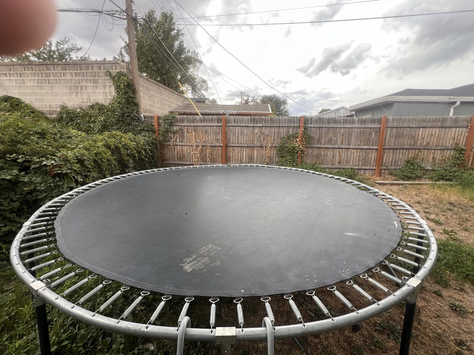 Trampoline 