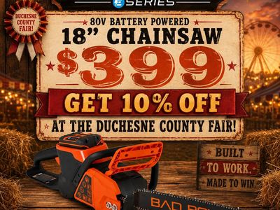 Bad Boy Electric Chainsaw