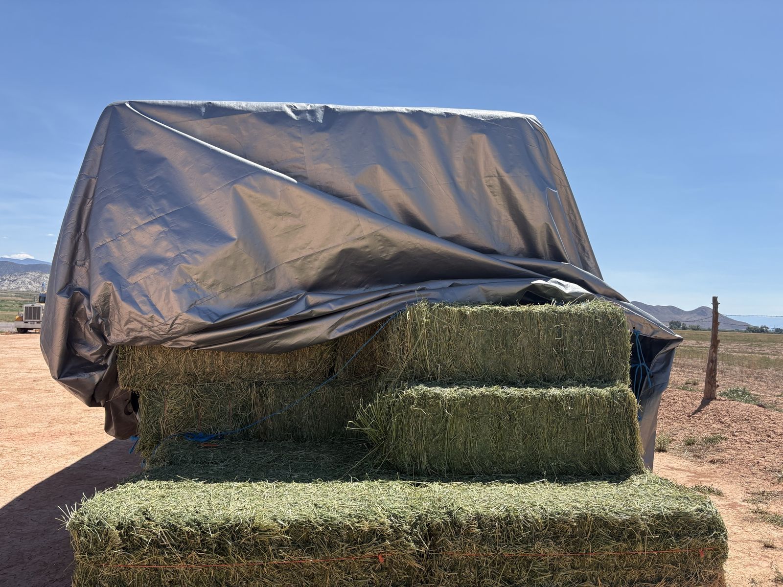 Alfalfa Hay Bales - 3-String, ~98 lbs Each (Tarp Stored)