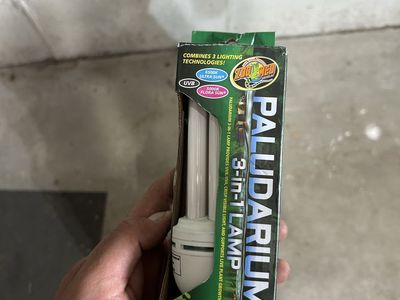 Paludarium 3-in-lamp