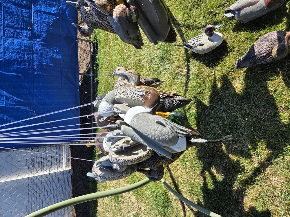duck decoys