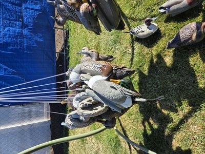 duck decoys