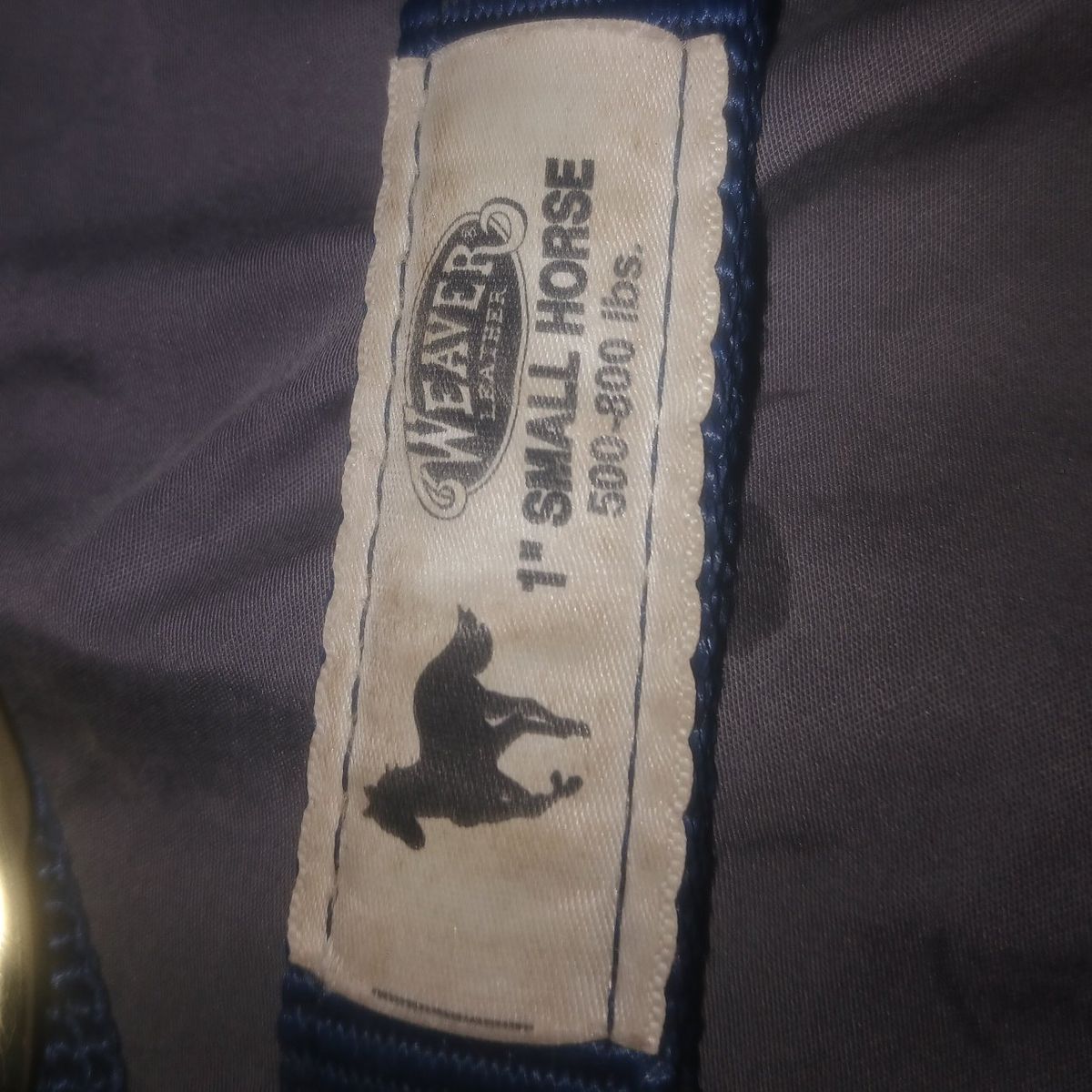Small horse halter