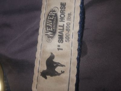 Small horse halter