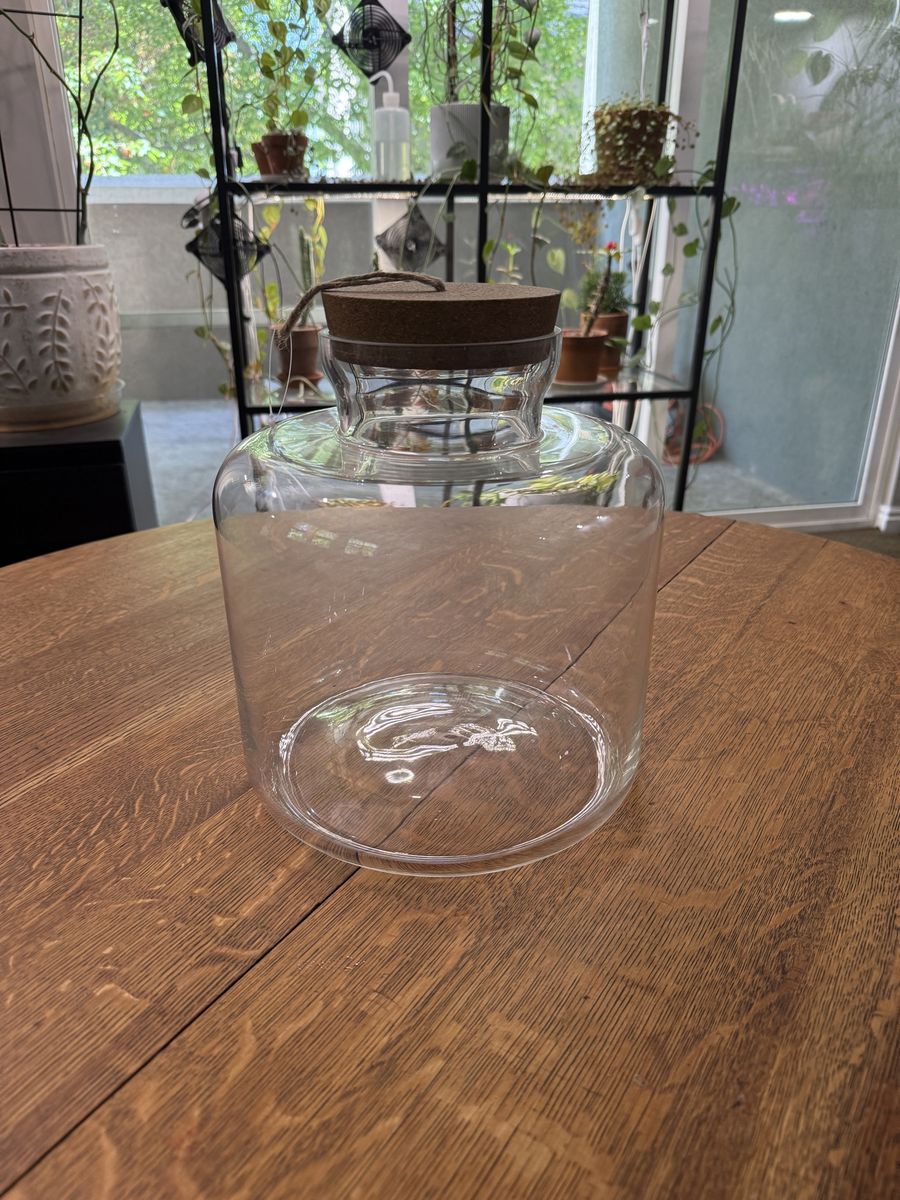 Glass Jar - Terrarium