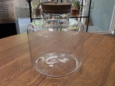 Glass Jar - Terrarium