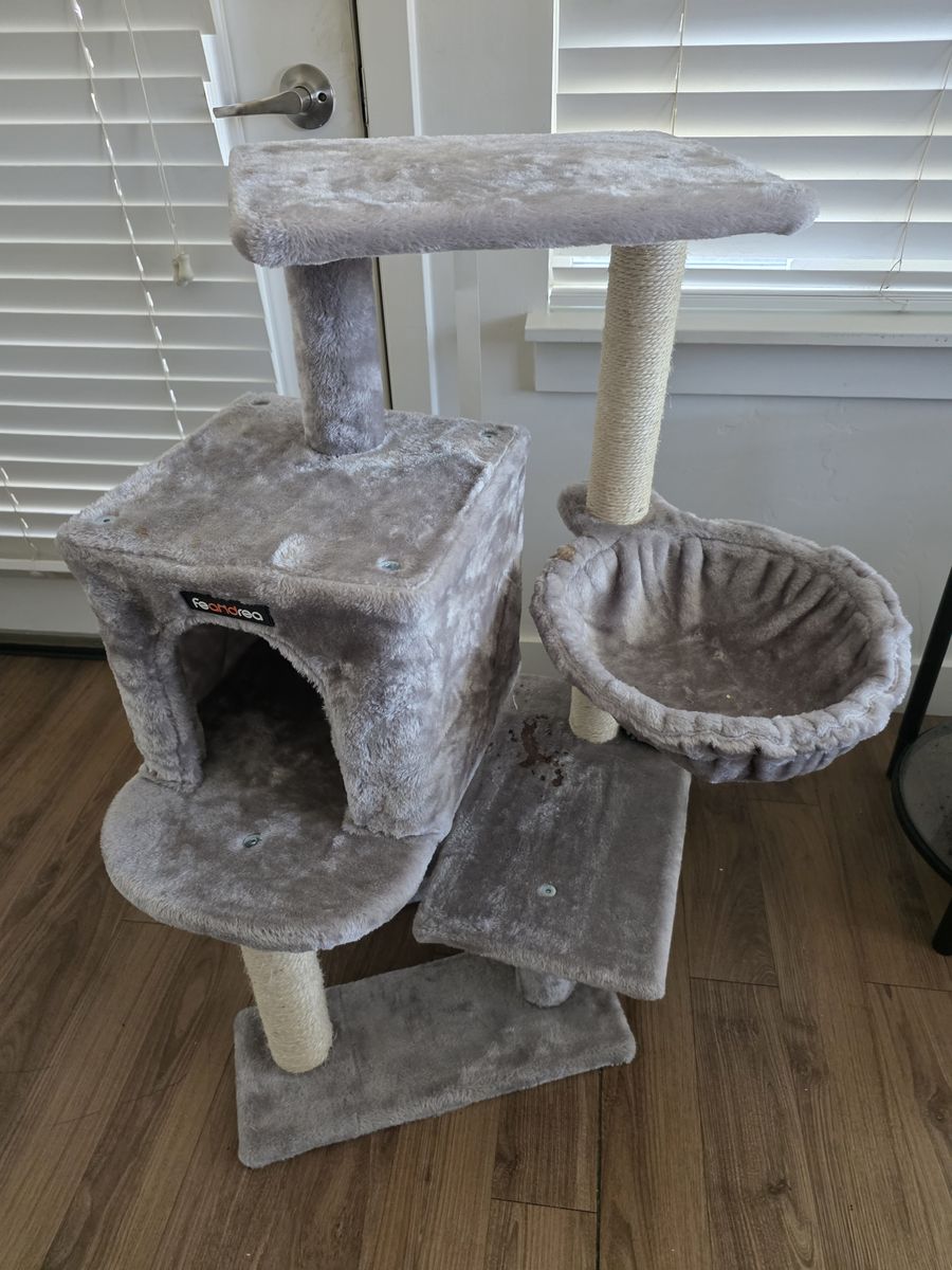 Cat scratcher
