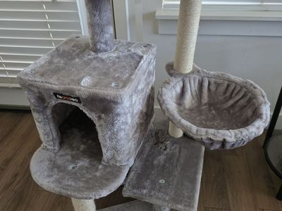 Cat scratcher