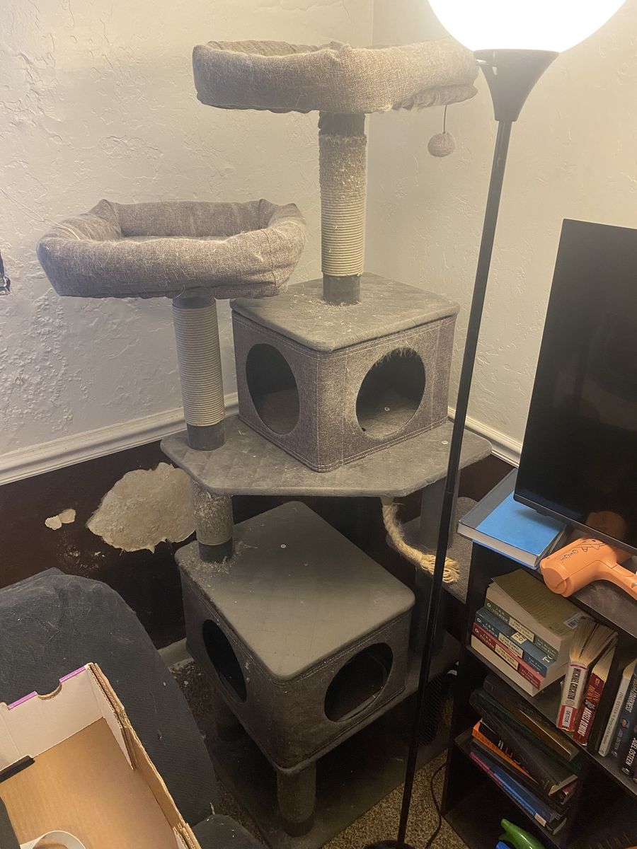 Cat Tower - 6'