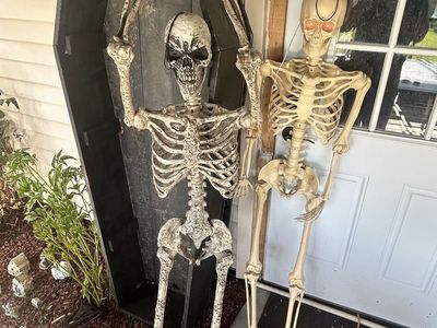 2 Pan Asian Creations Spirit Holloween Props 5.5 Feet Tall Skeletons (Eyes Light Up) & a 6 Feet Wood Coffin With Lid