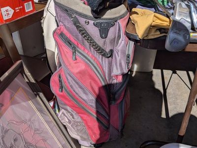 set of Yonex golf clubs with a datrex or top flight flawless bag