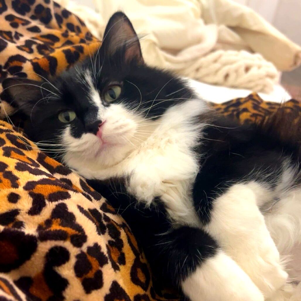 Hello my name is Penelope