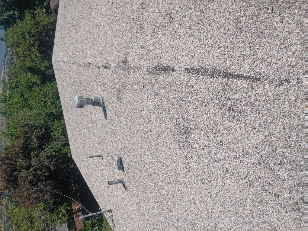 Main image 5