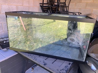 90 Gallon Fish Tank
