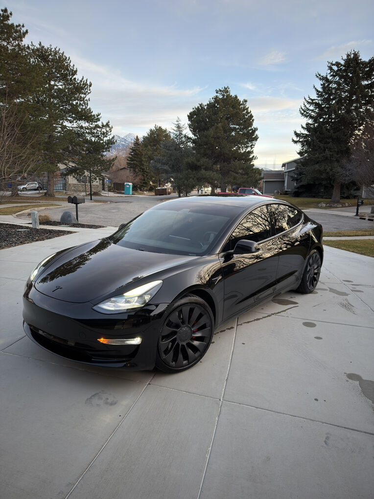 2021 TESLA MODEL 3 Performance