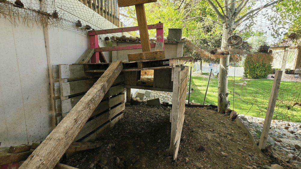 Main image 11