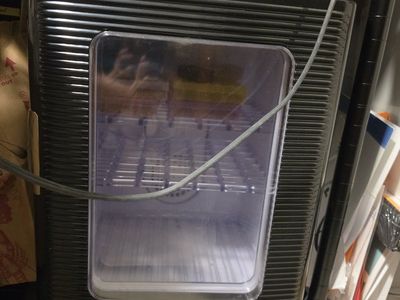 Reptile egg Incubator - Black Mini Fridge