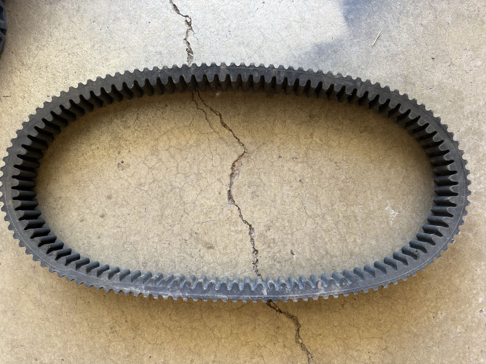 RZR Belt