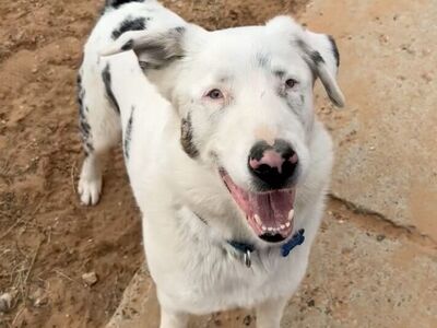 Hello my name is Kansas