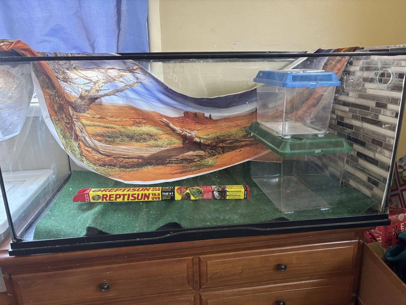 Reptile Tank, Decor, and Accessories