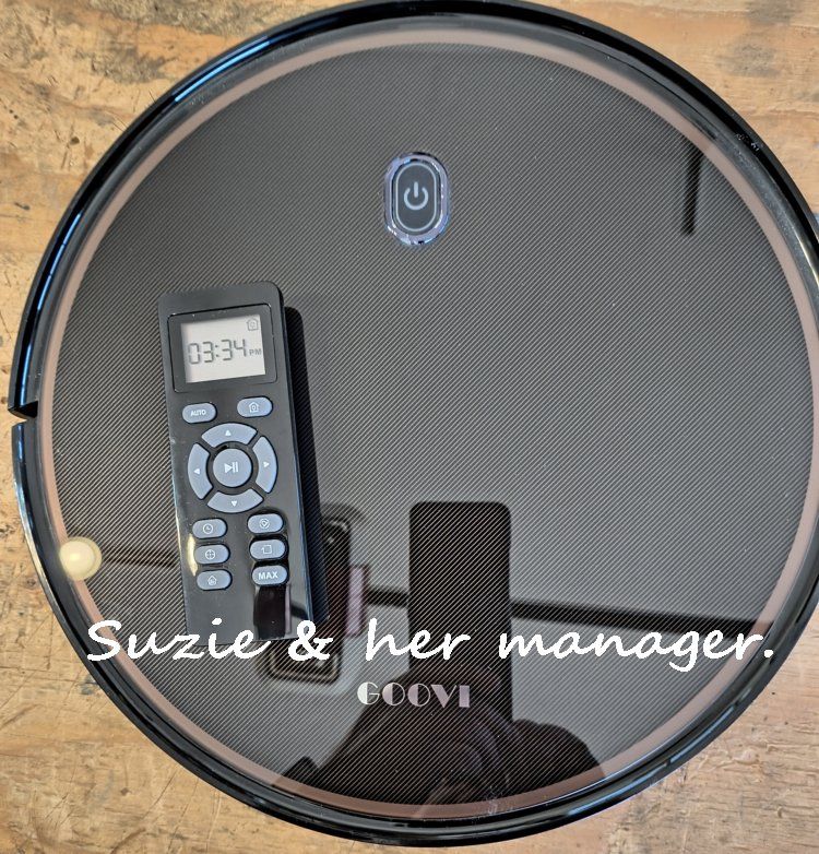 Suzie the Goovi Robo Vacuum, vac, cleaner, dust, carpet, basement, dirt, hair, pets, robot, AI, sweeper,