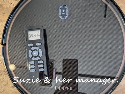 Suzie the Goovi Robo Vacuum, vac, cleaner, dust, carpet, basement, dirt, hair, pets, robot, AI, sweeper,