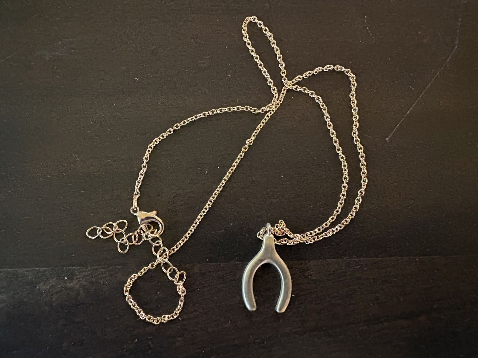 New Gold Tone Necklace w/ Wishbone Charm