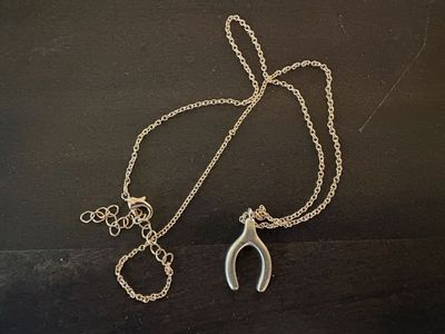 New Gold Tone Necklace w/ Wishbone Charm