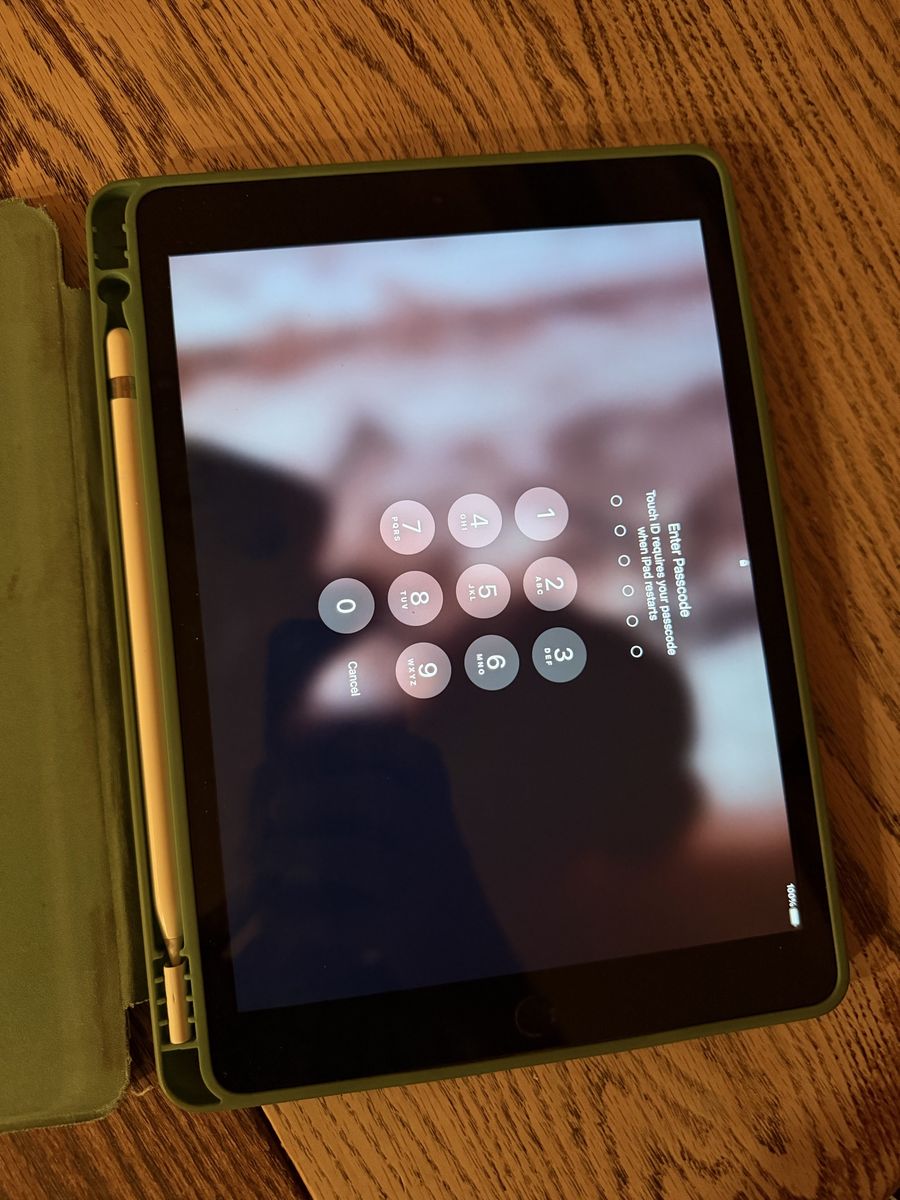 Used Apple iPad with Apple Pencil & Case
