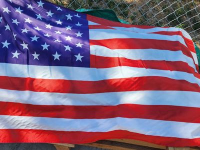 American Flags (Set of 5)