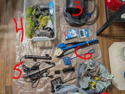 Freshwater fish aquarium equipment