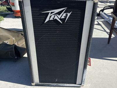 Vintage Peavey Speaker Cabinet with Cable
