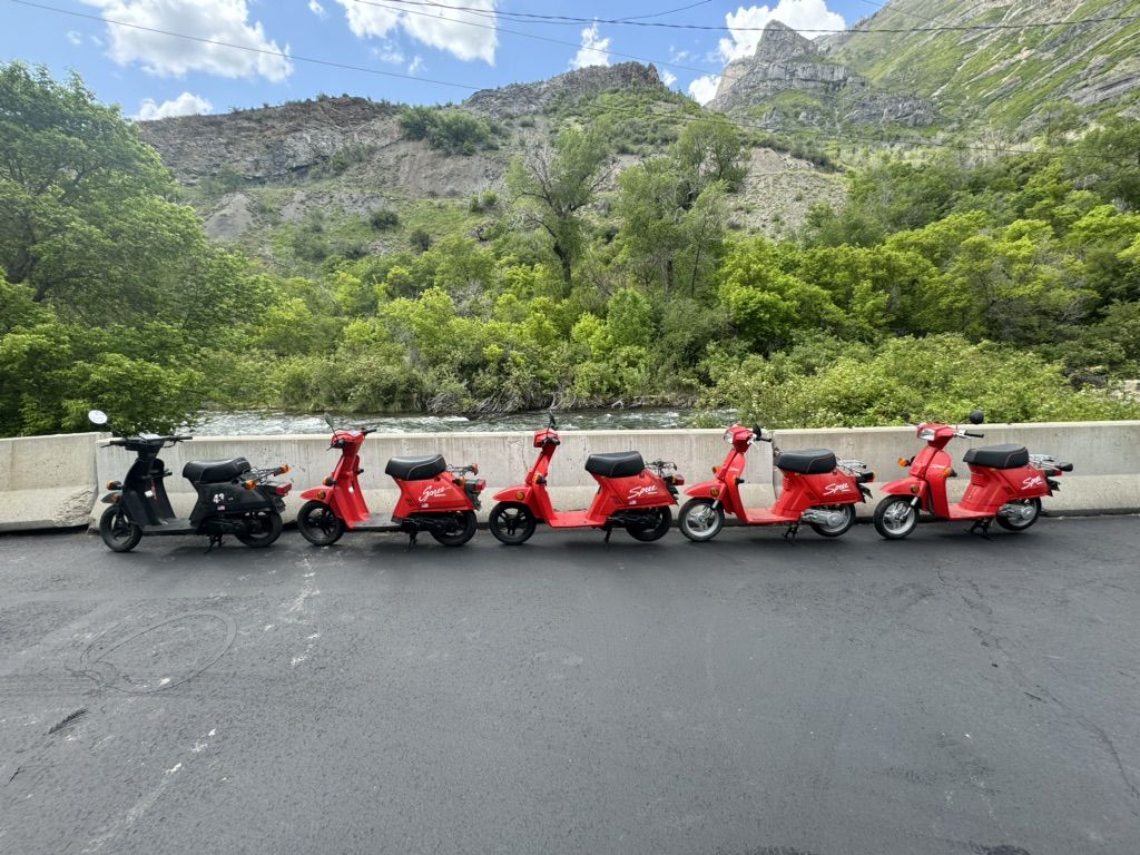 Vintage Honda Sprees 50 Cc 2 Stroke