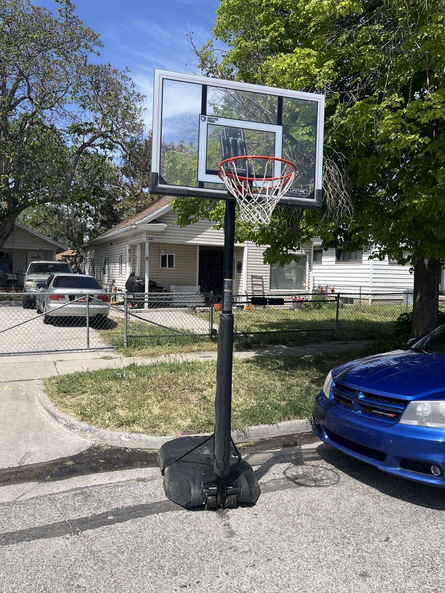 Lifetime Shatterproof Portable Basketball Hoop - Adjustable Height, Clear Backboard