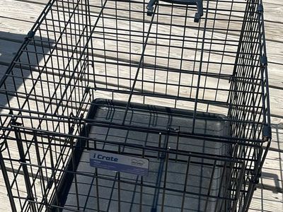 Folding Metal Wire Dog Crate with Tray Medium