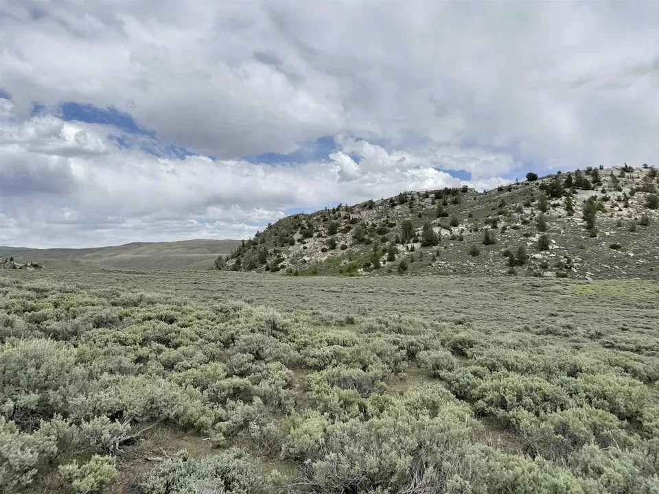 Main image 11