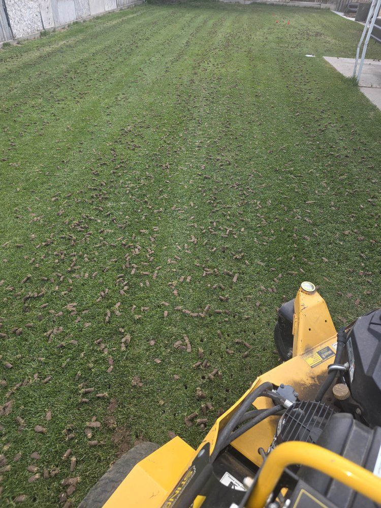 lawncare services aeration and dethatching/power r