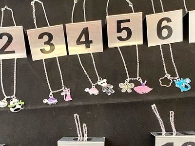 NEW - Two Necklaces In One - Simply Slide Off One Pendant From The Silver Plated Chain - C PIX