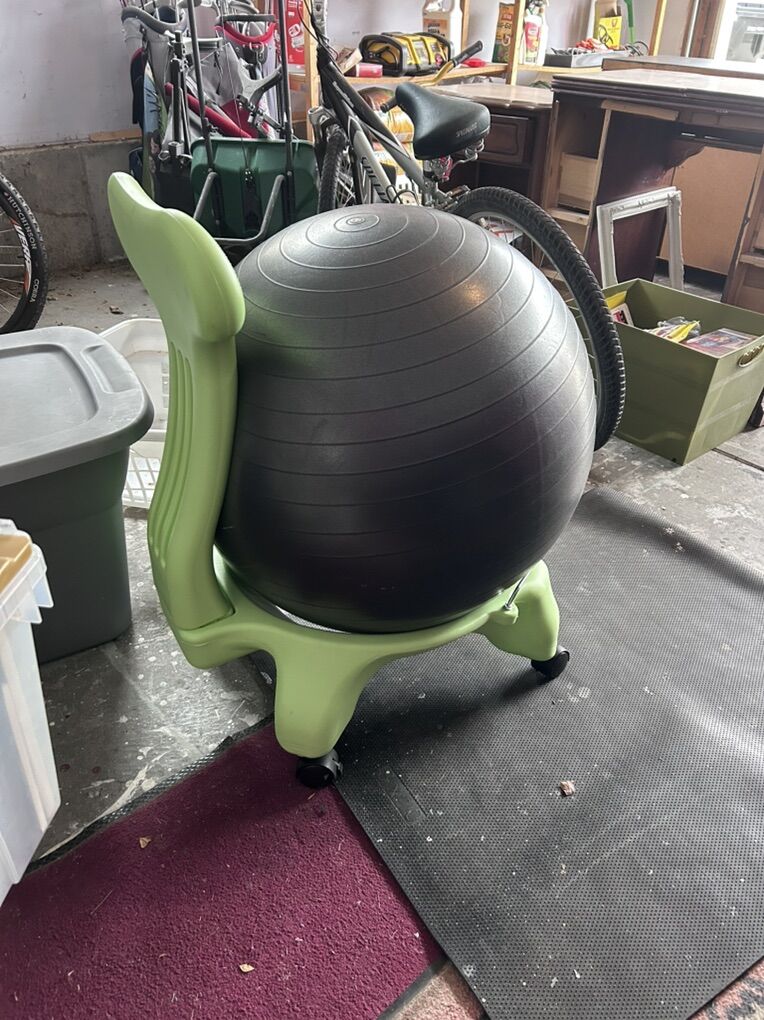 Balance Ball Chair
