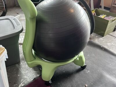 Balance Ball Chair