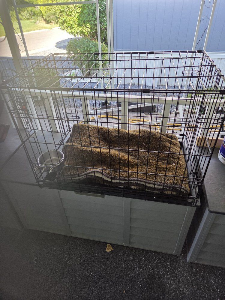 Large Foldable Wire Dog Crate with Removable Tray and Bed.